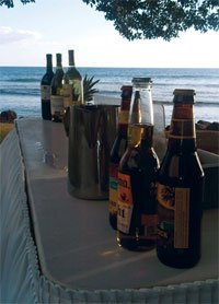 Bar service for wedding reception on Maui.