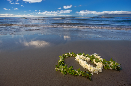 Hawaii wedding lei