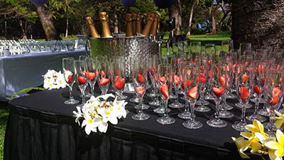 A champagne toast ceremony for a couple getting married on Maui.