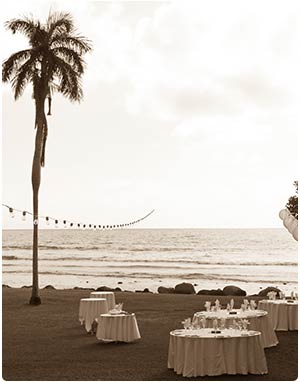 A catered Maui wedding reception at the Olowalu Plantation House.