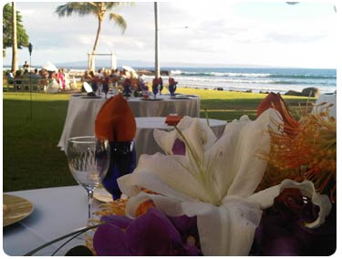 A catered Maui wedding at the Olowalu plantation private estate wedding location in West Maui.