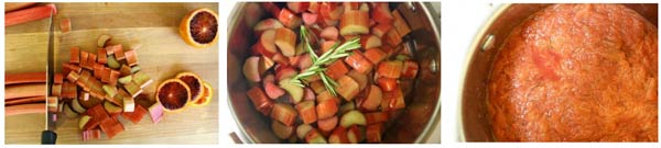 Rhubarb rosemary summer cocktail recipe image.