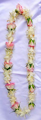 Tuberose and Rose lei for Maui weddings.